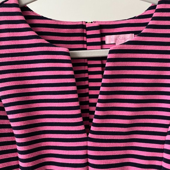 Lilly Pulitzer Brielle fit & flare dress Hotty Pink Ottoman Stripe - Picture 6 of 14